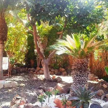 Nettes Studioapartment Mit Pool - F5078 - #92326 Апартаменты Гиа-де-Исора